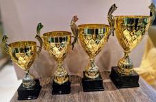 lux zlatni pehari sa uškama